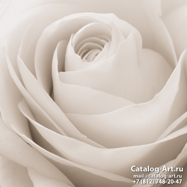 Натяжные потолки с фотопечатью - Белые розы 3